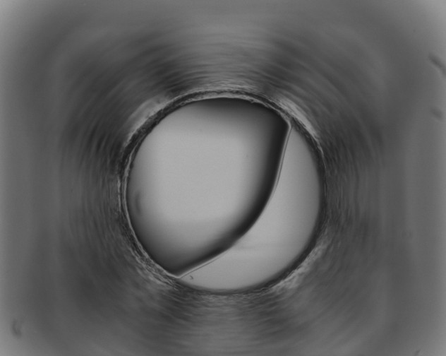 X0000091980781200709061151