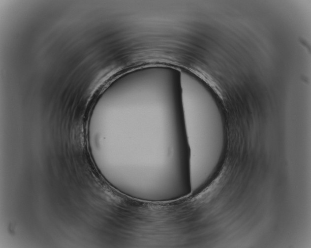 X0000091980782200709061151