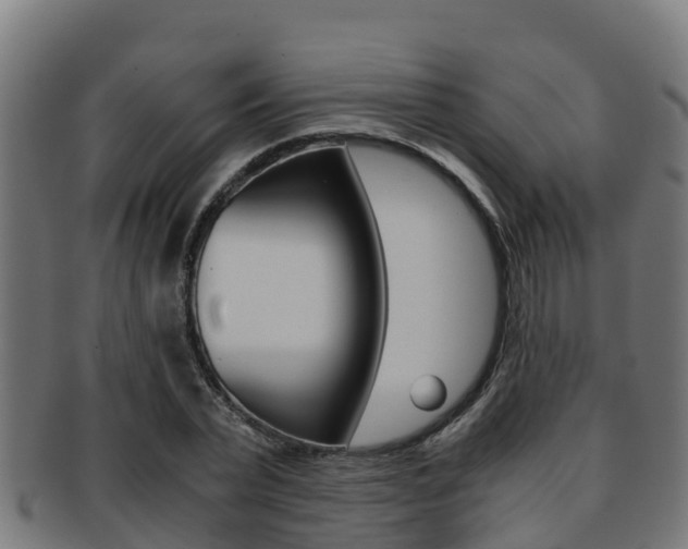 X0000091980783200709061151
