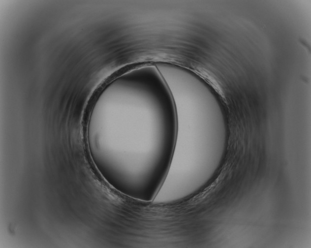 X0000091980784200709061151