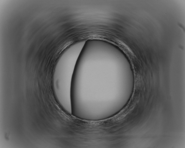 X0000091980785200709061151