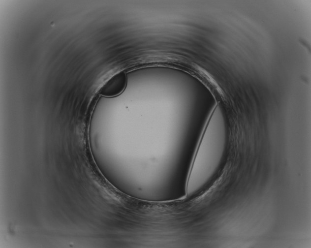 X0000091980786200709061151