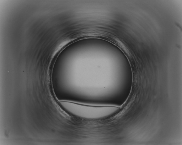X0000091980787200709061151