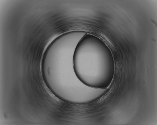 X0000091980788200709061151