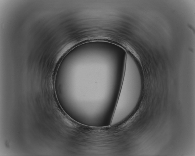 X0000091980789200709061151