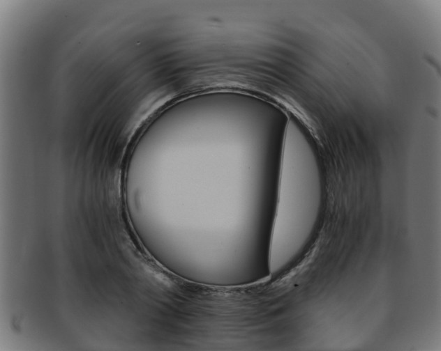 X0000091980790200709061151