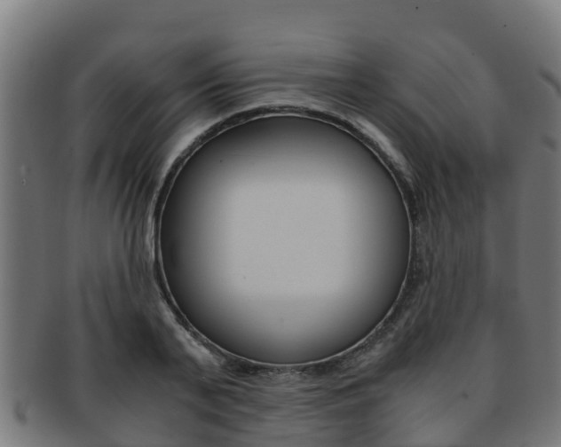 X0000091980791200709061151
