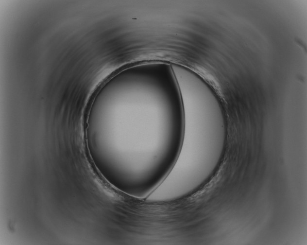 X0000091980792200709061151