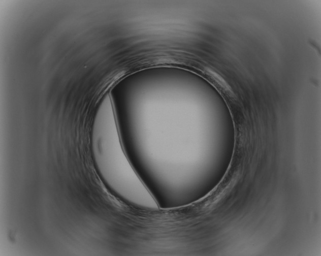 X0000091980793200709061151