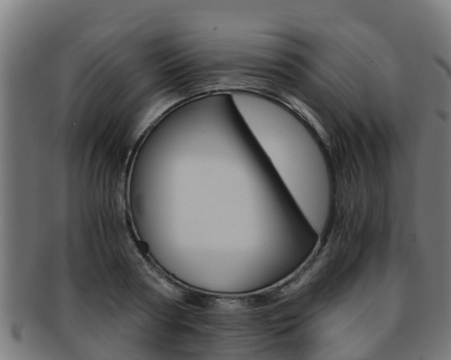 X0000091980794200709061151