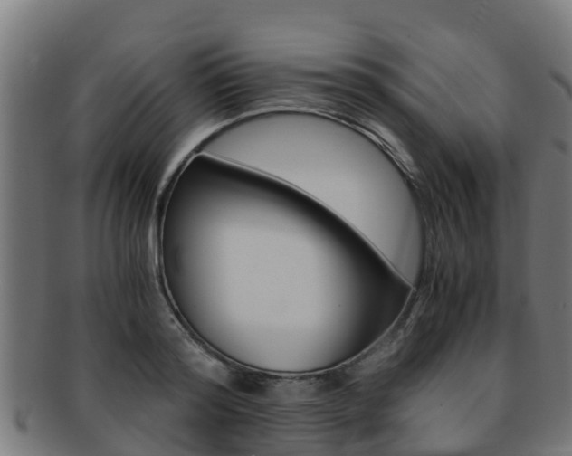 X0000091980796200709061151