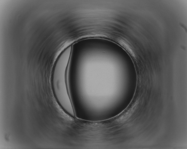 X0000091980797200709061151