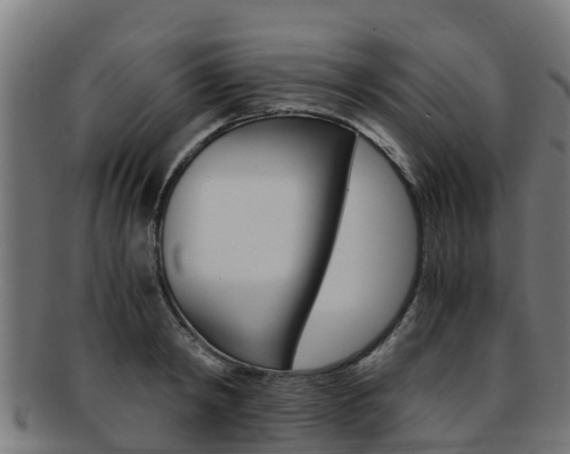 X0000091980798200709061151