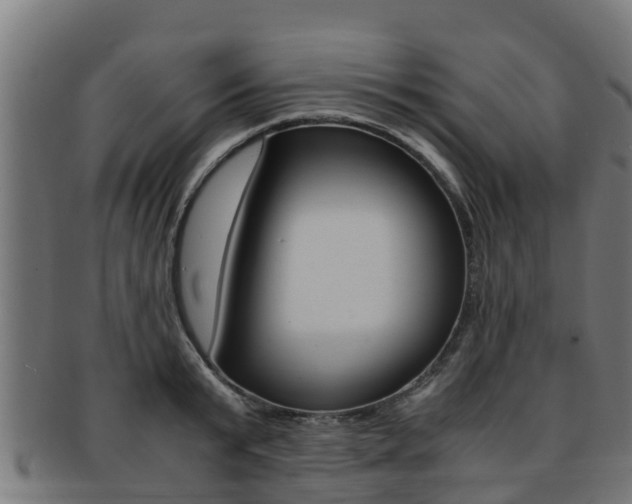 X0000091980799200709061151