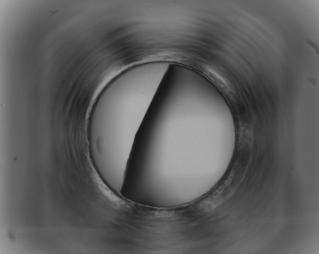 X0000091980800200709061151