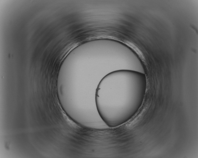 X0000091980801200709061151