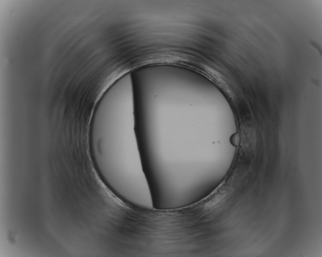X0000091980802200709061151