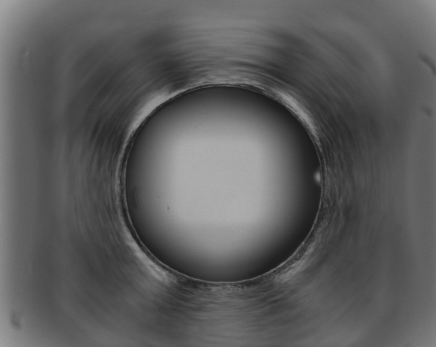 X0000091980803200709061151