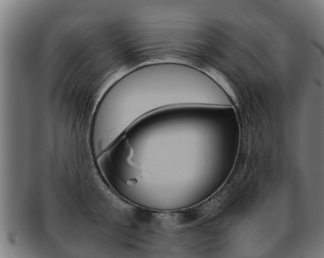 X0000091980805200709061151