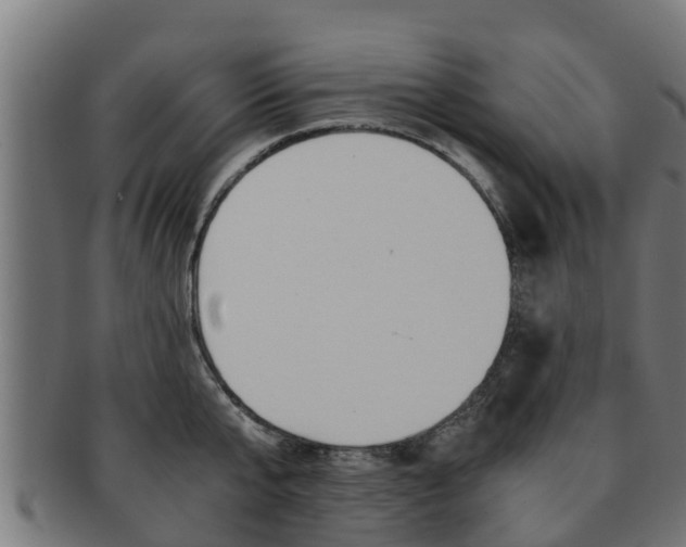 X0000091980807200709061151
