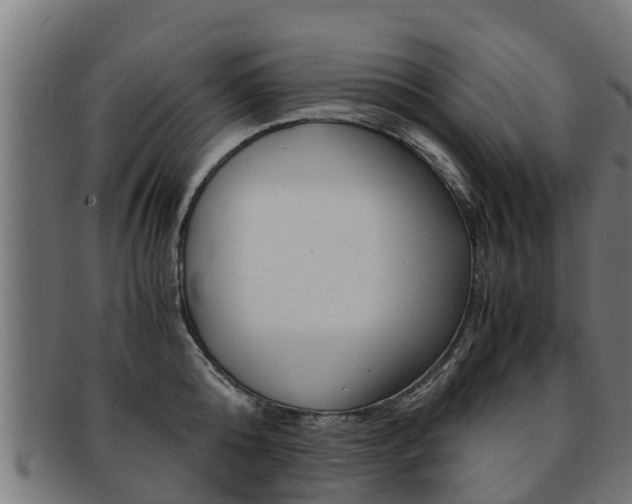 X0000091980808200709061151