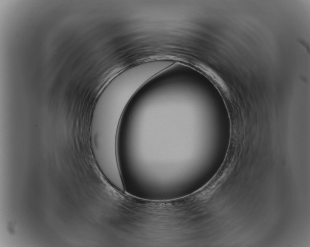 X0000091980809200709061151