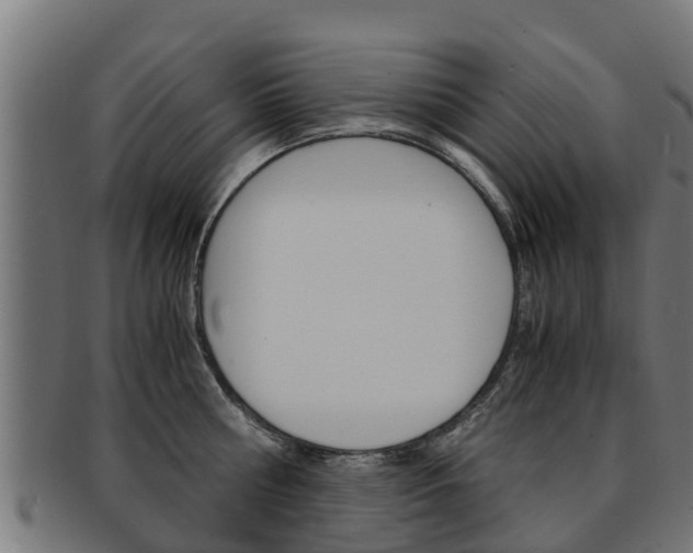 X0000091980810200709061151