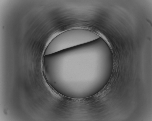 X0000091980811200709061151