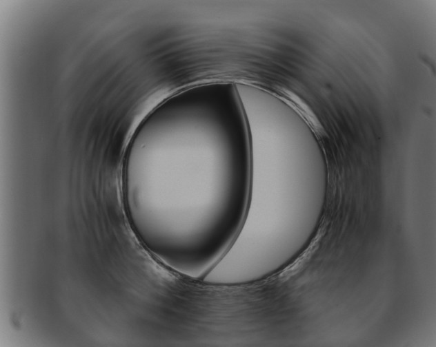 X0000091980812200709061151