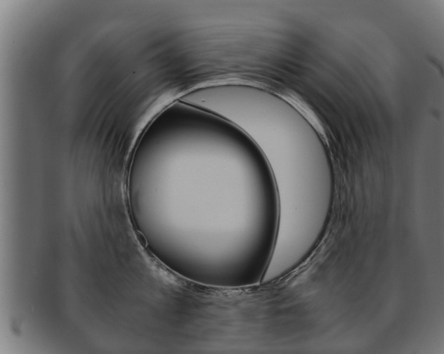 X0000091980813200709061151