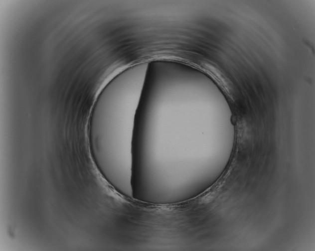 X0000091980814200709061151