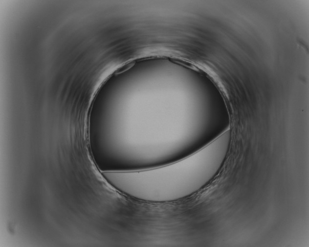 X0000091980815200709061151
