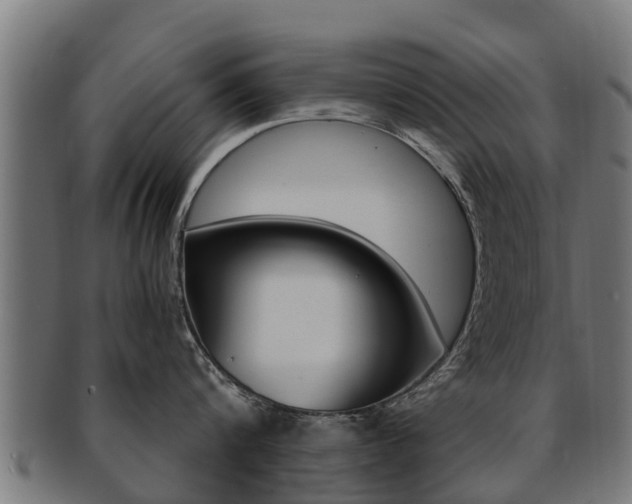X0000091980816200709061151