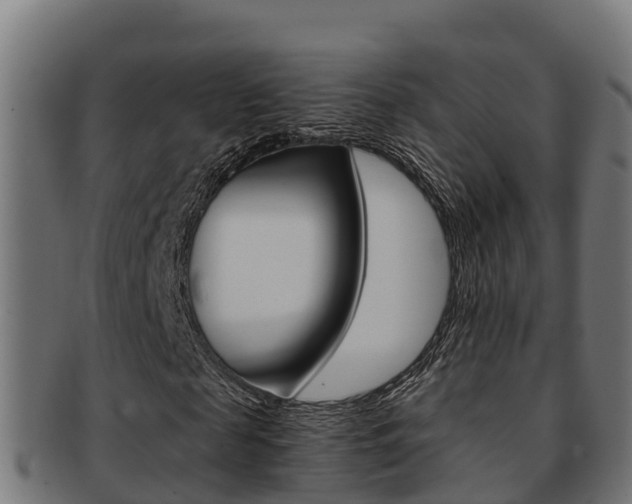 X0000091980817200709061151