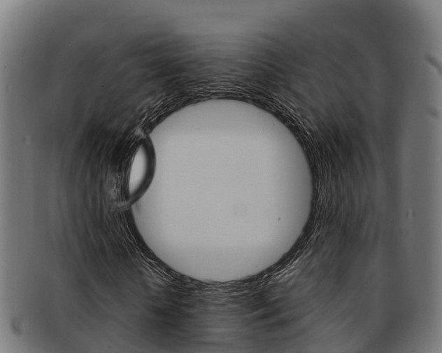X0000091980818200709061151