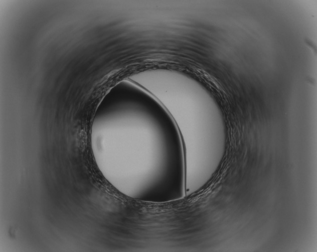 X0000091980821200709061151