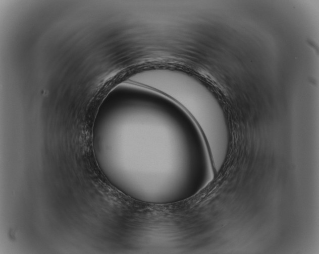 X0000091980822200709061151