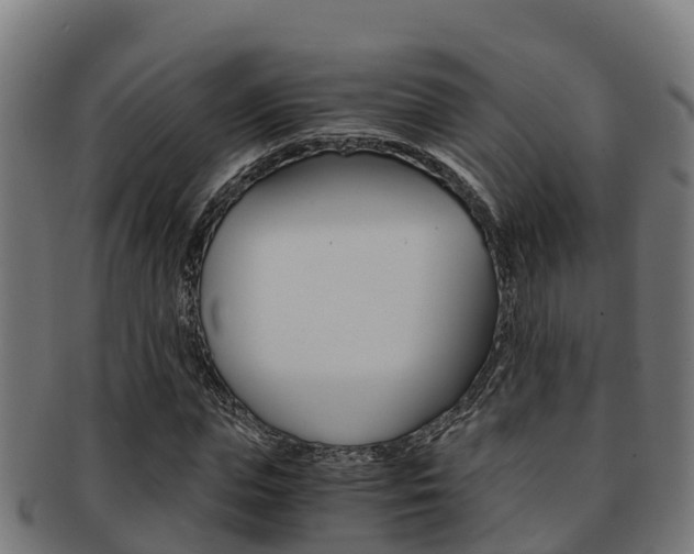 X0000091980823200709061151