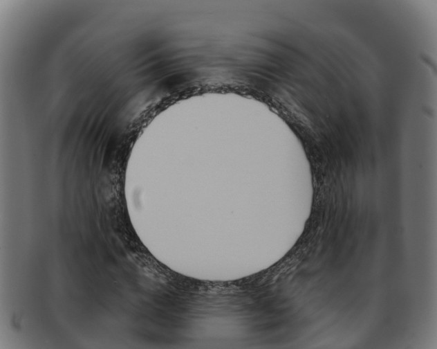 X0000091980824200709061151