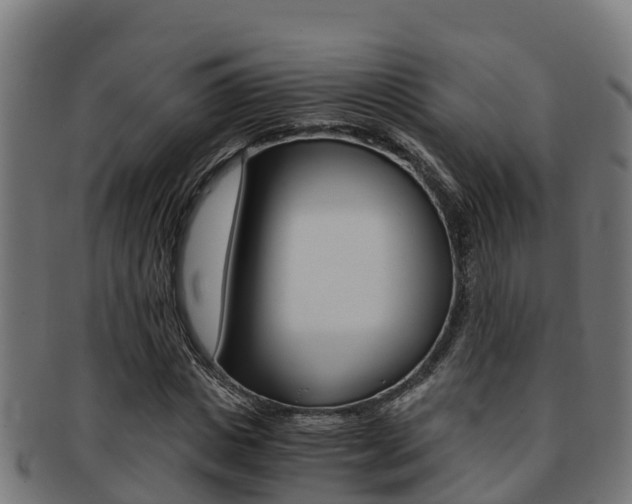 X0000091980825200709061151