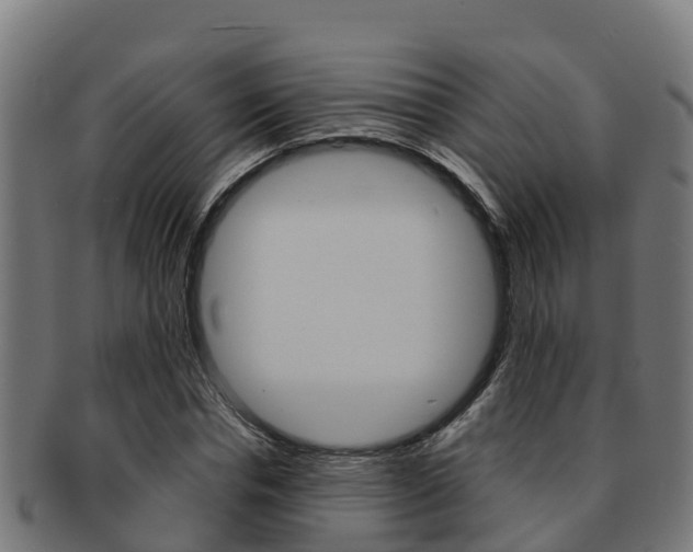 X0000091980826200709061151