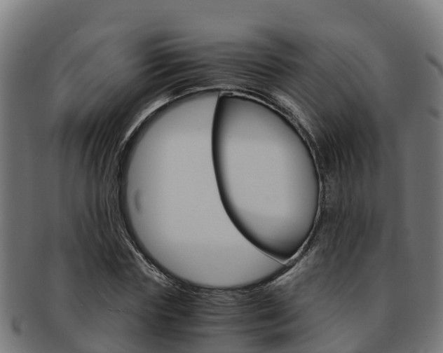 X0000091980827200709061151