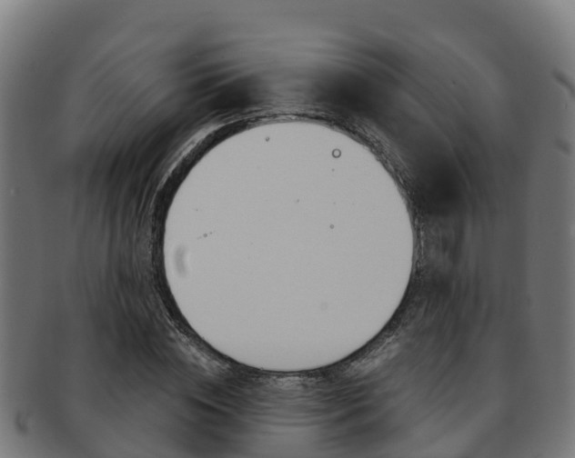 X0000091980828200709061151