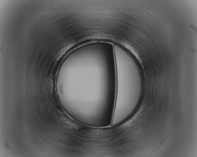 X0000091980829200709061151