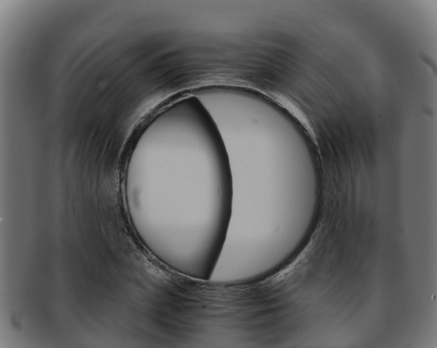 X0000091980831200709061151