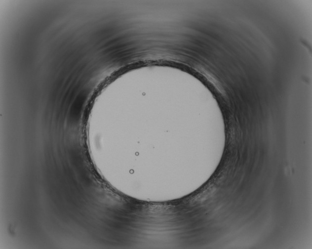 X0000091980832200709061151