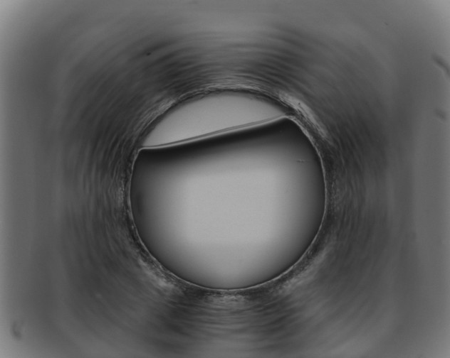 X0000091980833200709061151