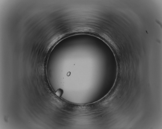 X0000091980834200709061151