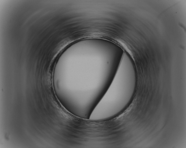 X0000091980835200709061151