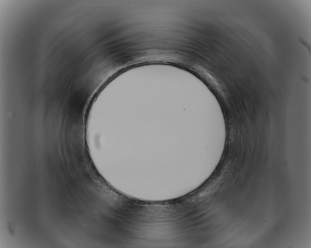 X0000091980836200709061151